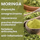 Moringa - 100% pura