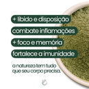 Moringa - 100% pura
