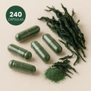 Spirulina - 100% pura
