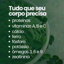 Moringa - 100% pura