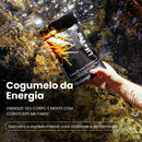 Cogumelo Cordyceps Militaris | Extrato Encapsulado 90 caps