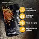 Cogumelo Cordyceps Militaris | Extrato Encapsulado 90 caps