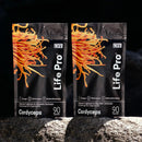 Cogumelo Cordyceps Militaris | Extrato Encapsulado 90 caps