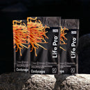 Cogumelo Cordyceps Militaris | Extrato Encapsulado 90 caps