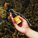 Cogumelo Cordyceps Militaris | Extrato Líquido 30ml