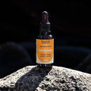 Cogumelo Cordyceps Militaris | Extrato Líquido 30ml