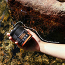 Cogumelo Chaga | Extrato em Pó 100g