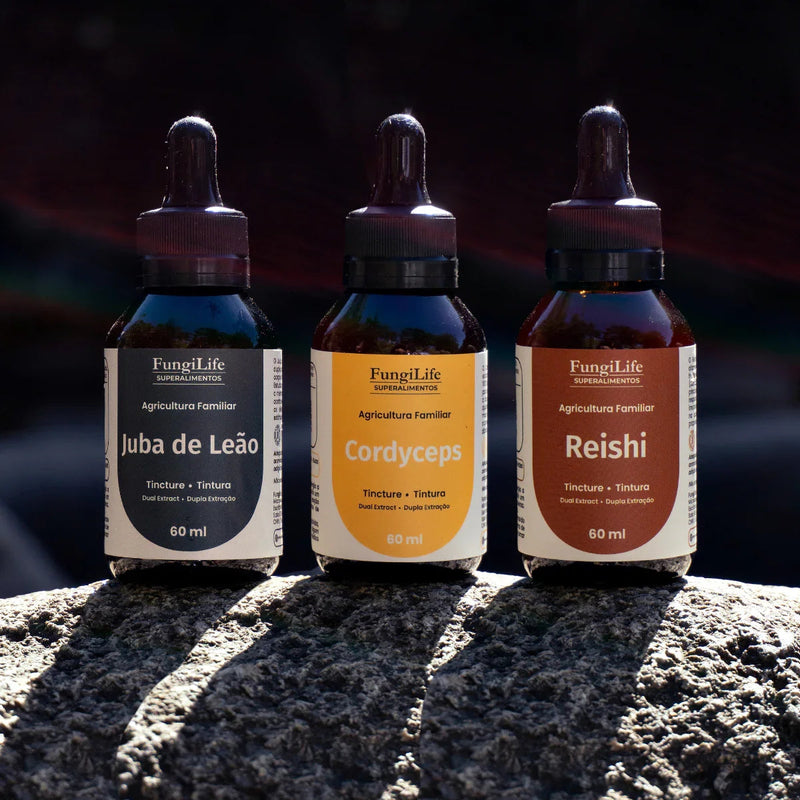 Kit Foco, Energia e Equilíbrio | Juba de Leão + Cordyceps + Reishi | Extrato Líquido 60ml