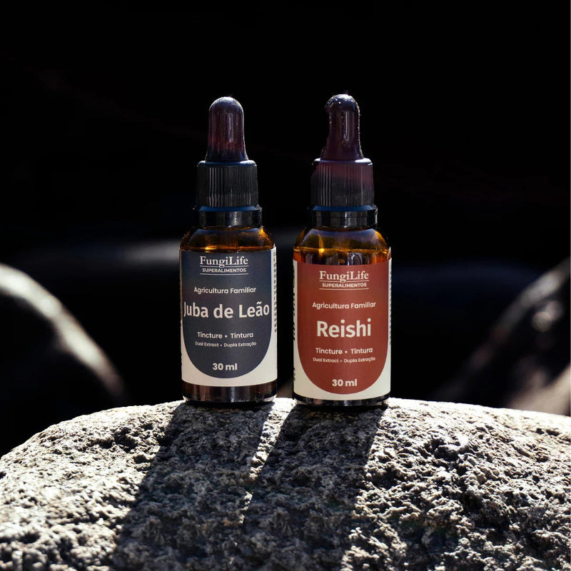 Kit Foco e Equilíbrio | Lions Mane + Reishi | Extrato Líquido 30ml