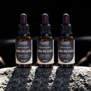 Cogumelo Juba de Leão | Extrato Líquido 30ml