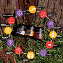 Kit Foco, Energia e Equilíbrio Lion's Mane + Cordyceps Militaris + Reishi | Extrato em Pó 100gr