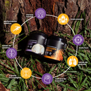 Kit Foco e Energia | Lion's Mane + Cordyceps | Extrato em Pó 100g