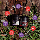 Kit Foco e Equilíbrio | Lion's Mane + Reishi | Extrato em Pó 100gr