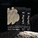 Cogumelo Lion's Mane | Extrato Encapsulado 90 caps