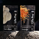 Kit Foco e Energia Lions Mane + Cordyceps Militaris | Extrato encapsulado 90 caps