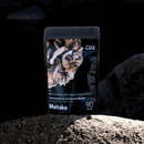 Cogumelo Maitake | Extrato Encapsulado 90 caps