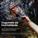 Cogumelo Reishi | Extrato Encapsulado 90 caps