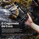 Cogumelo Turkey Tail (Cauda de Peru) | Extrato Encapsulado 90 caps