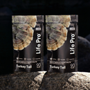 Cogumelo Turkey Tail (Cauda de Peru) | Extrato Encapsulado 90 caps