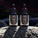 Cogumelo Chaga | Extrato Líquido 60ml