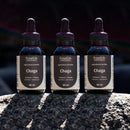Cogumelo Chaga | Extrato Líquido 60ml