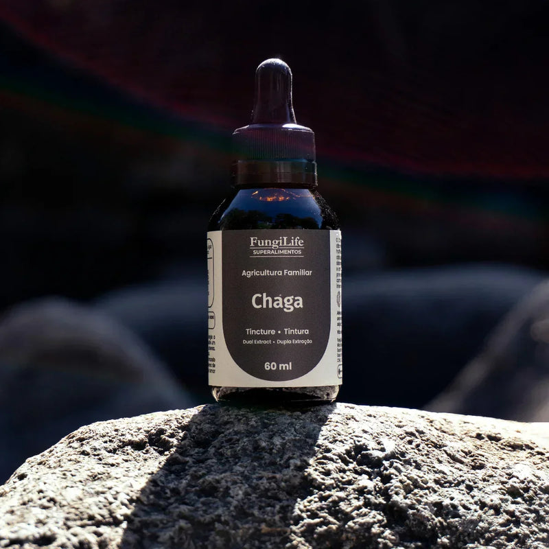 Cogumelo Chaga | Extrato Líquido 60ml