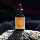 Cogumelo Cordyceps Militaris | Extrato Líquido 60ml